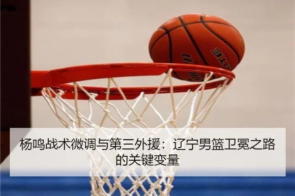 yang-ming-zhan-shu-wei-diao-yu-di-san-wai-yuan-liao-ning-nan-lan-wei-mian-zhi-lu-de-guan-jian-bian-liang-2-330.jpg