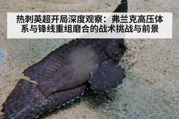 热刺英超开局深度观察：弗兰克高压体系与锋线重组磨合的战术挑战与前景